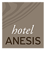 Anesis Hotel | Kozani